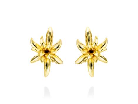 Earrings Sta. Monica  in golden silver