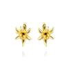 Earrings Sta. Monica  in golden silver