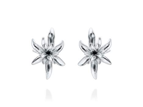 Earrings Sta. Monica  in silver