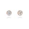 Earrings in 18kt. Gold and diamonds